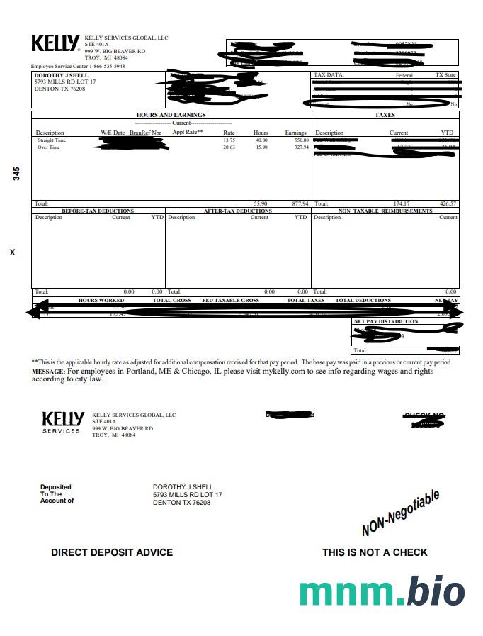 Szablon Kelly paystub w formatach Word i PDF